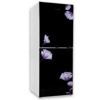Vision VSN GD Refrigerator RE-252L Mirror Purple FL-BM